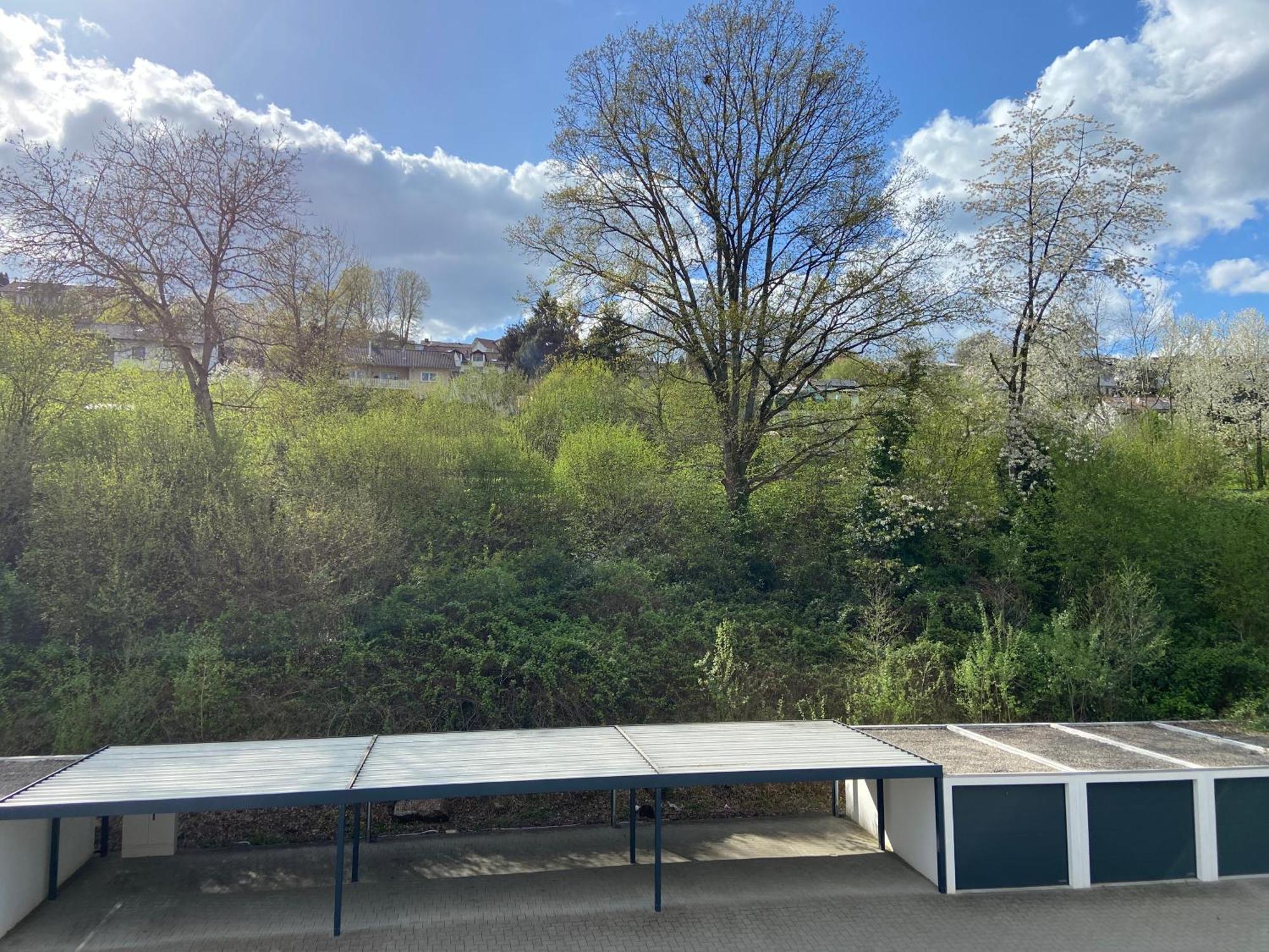 Ferienwohnung Am Erbacher Muemlingufer Erbach (Odenwaldkreis) Exterior foto
